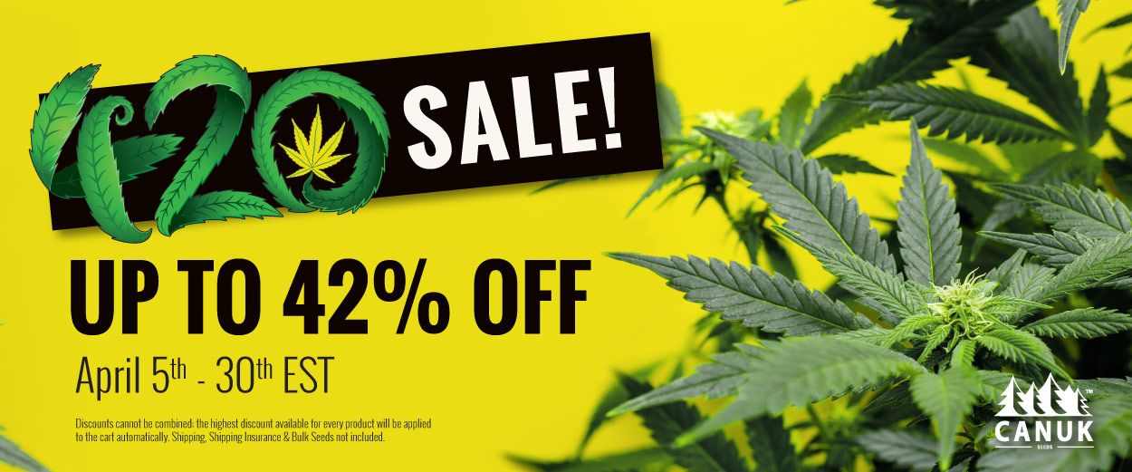 420 Sale - Up to 42% OFF