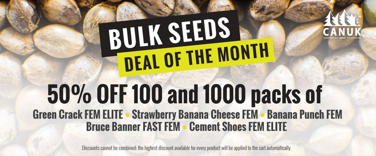 BULK SEEDS DEAL OF THE MONTH