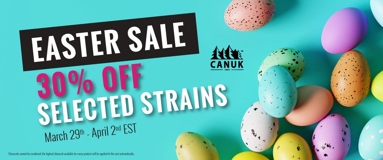 Easter SALE - 30% OFF