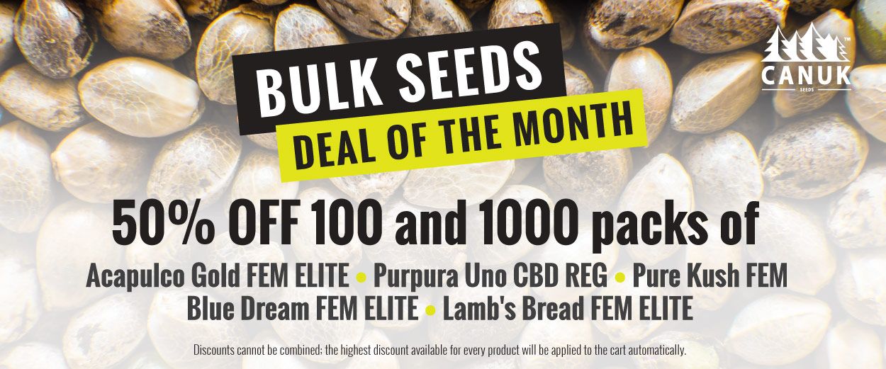 BULK SEEDS DEAL OF THE MONTH