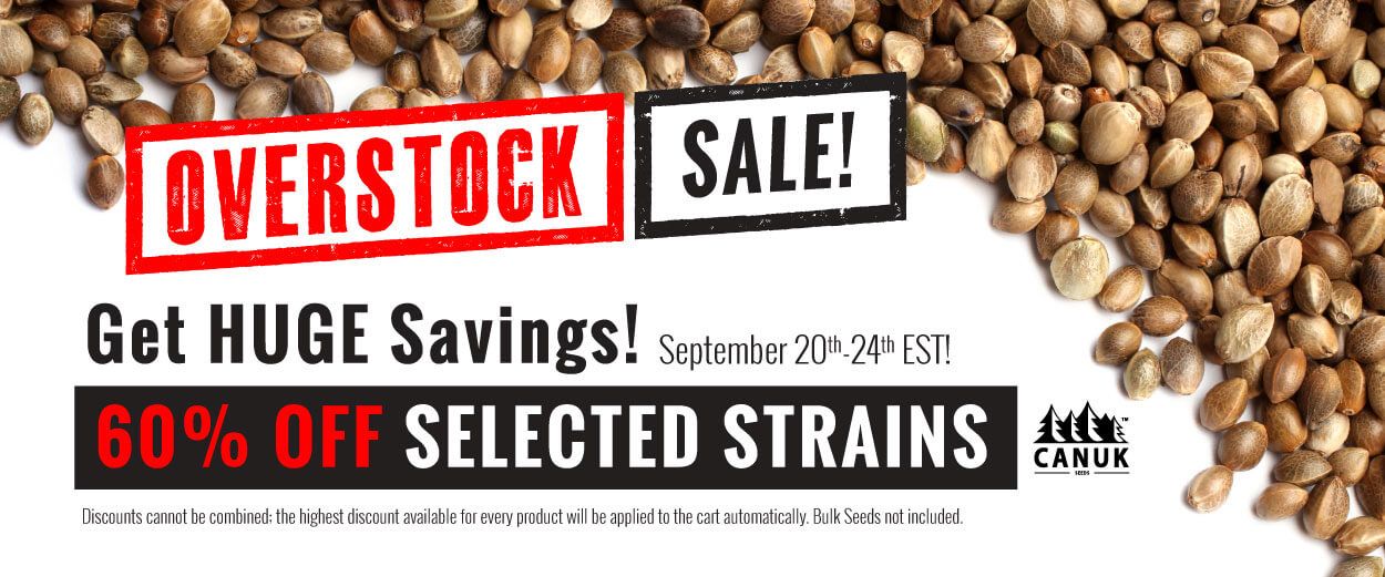 Overstock Sale - 60% OFF Canuk Seeds
