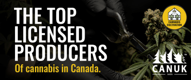 Top Licensed Producers of Cannabis in Canada