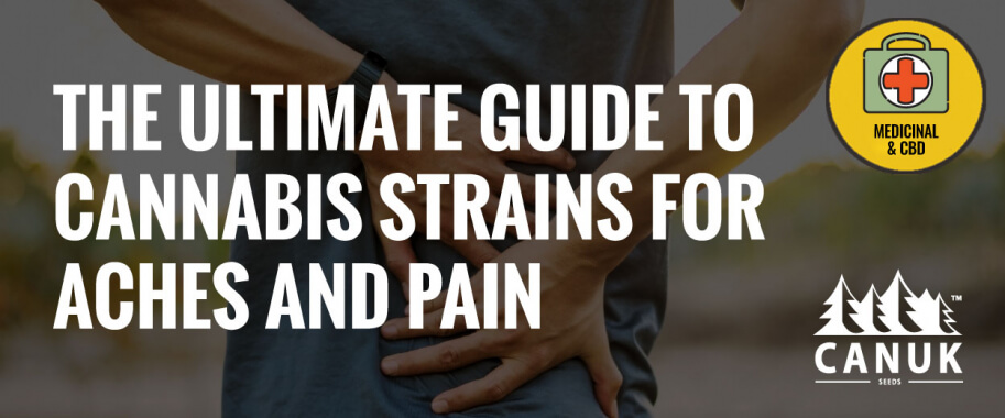 The Ultimate Guide to Cannabis Strains for Aches and Pain