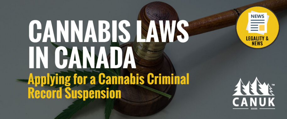 Cannabis Laws in Canada: Applying for a Cannabis Criminal Record Suspension