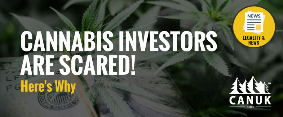 Cannabis Investors are Scared! Here's Why
