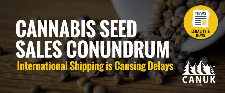 Cannabis Seed Sales Conundrum: International Shipping is Causing Delays