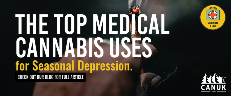 Top Medical Cannabis Uses for Seasonal Depression