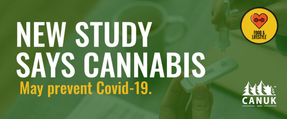 New Study Shows Cannabis May Prevent COVID-19