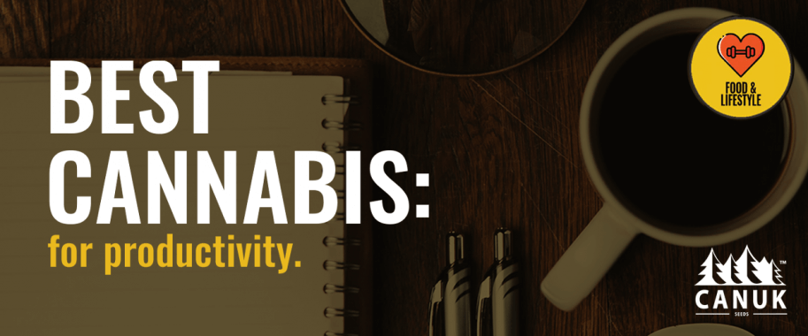 Best Cannabis Strains for Productivity