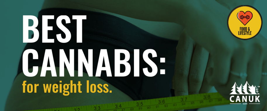 Best Cannabis Strains for Weight Loss