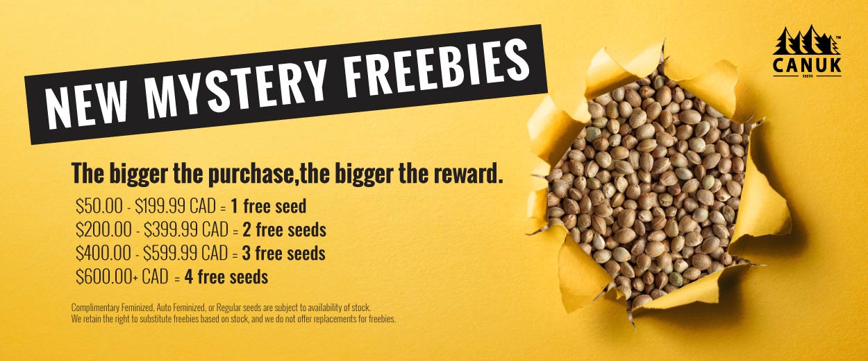 Mystery Freebies - Get Free Cannabis Seeds with Every Order over CA$50