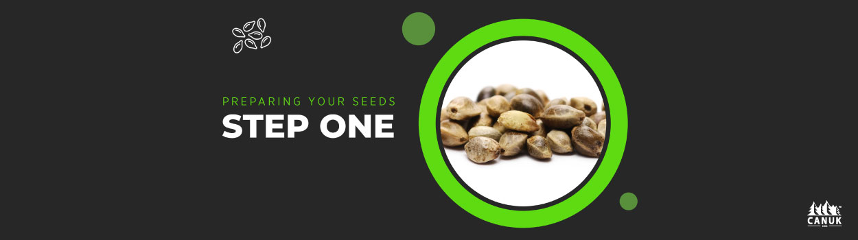 Preparing Your Seeds