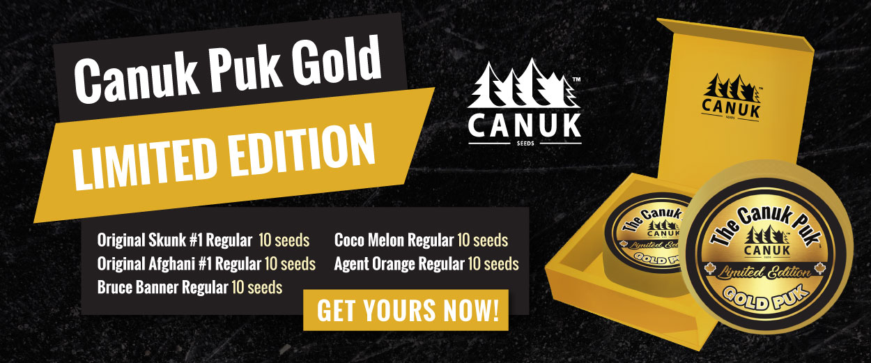 The Limited Edition Canuk Puk Gold