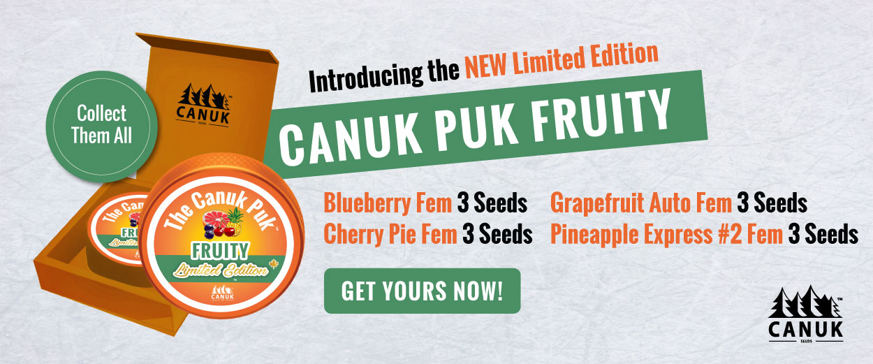 Canuk Puk Fruity